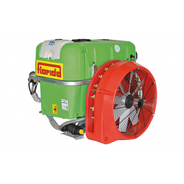 florida-nazainfinity